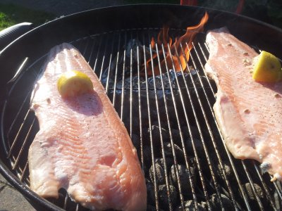 Her har vi lagt laksesiden på grillen og der er gået ild i bøgesmuld (det må der gerne det slukker når man lægger låg på)